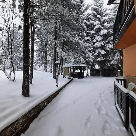 Svila * Zlatibor