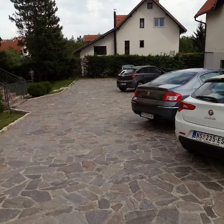 Svila ズラティボール